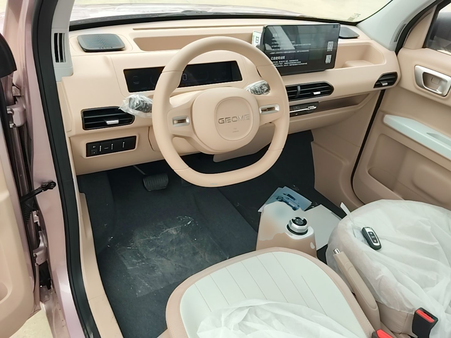 Geely Galaxy Panda 2024 Panda Mini 200km Endurance Bear — снимка 12