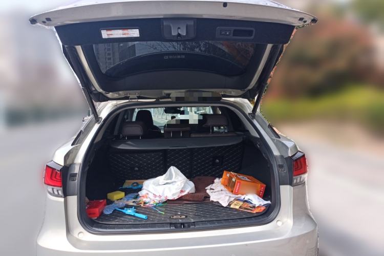 Used Lexus RX 2020 300 4x4 Elegant Edition China VI
