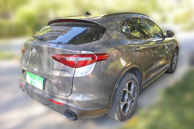 Used Alfa Romeo Stelvio 2019 2.0T 280HP Black Package Limited Edition