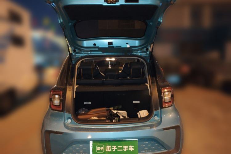 Used SOL E10X 2022 Flower Fairy Design Four-Leaf Clover Trunk