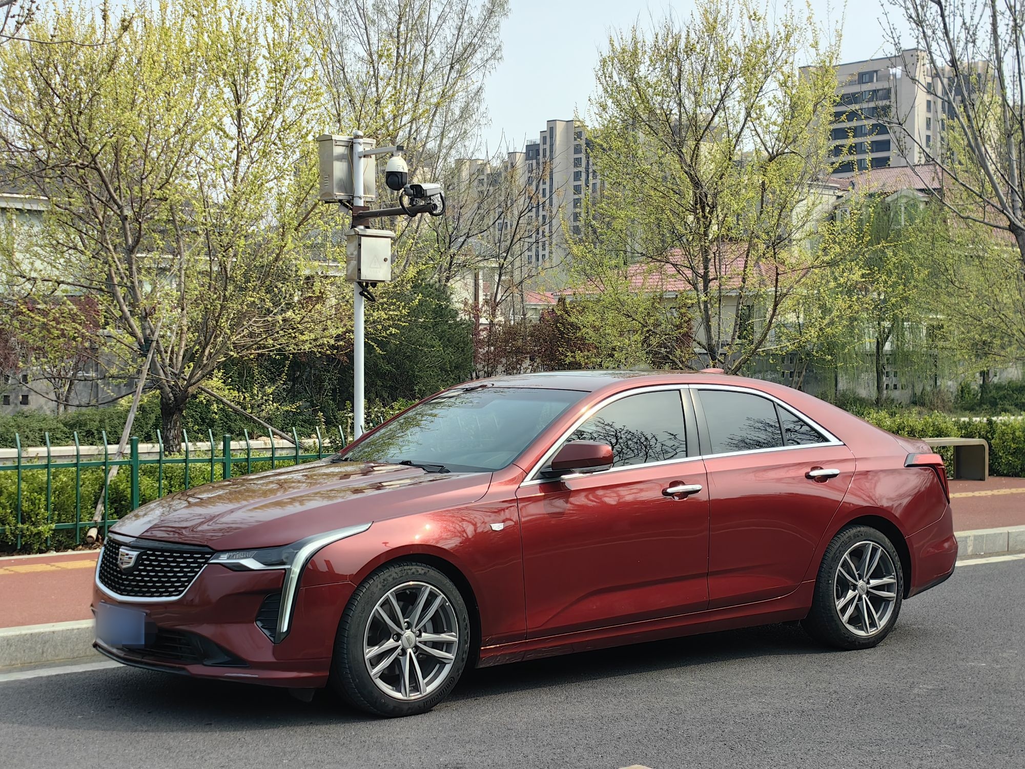 Parte inferior delantera