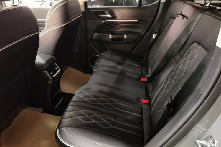 Used Tank 300 2022 2.0T Tank Ranger Left Rear Seat