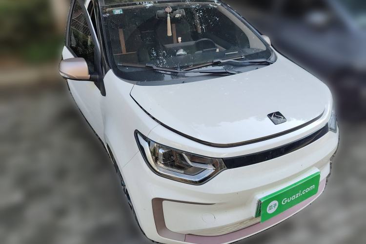 Used SOL E10X 2022 Flower Fairy Style Baby's Breath
