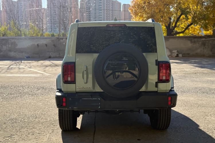 Used Tank 300 2024 2.0T Crosser
