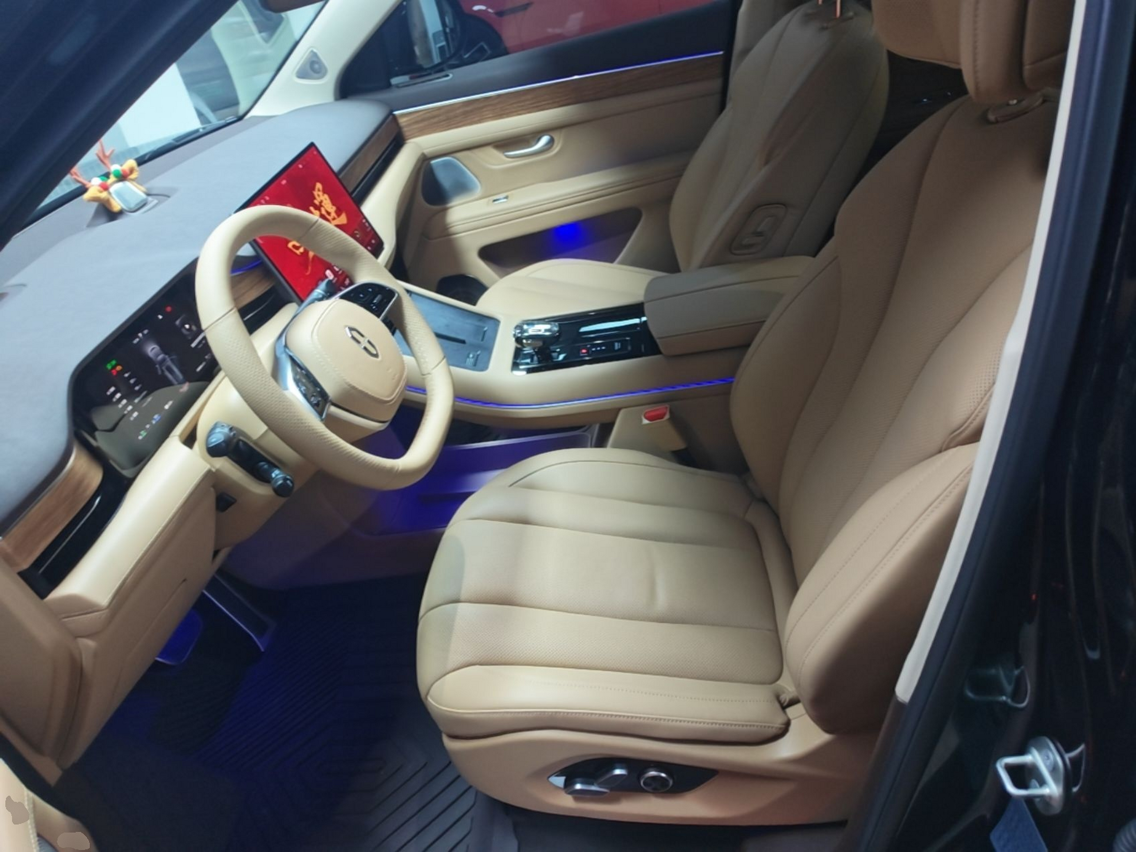 Interior delantero