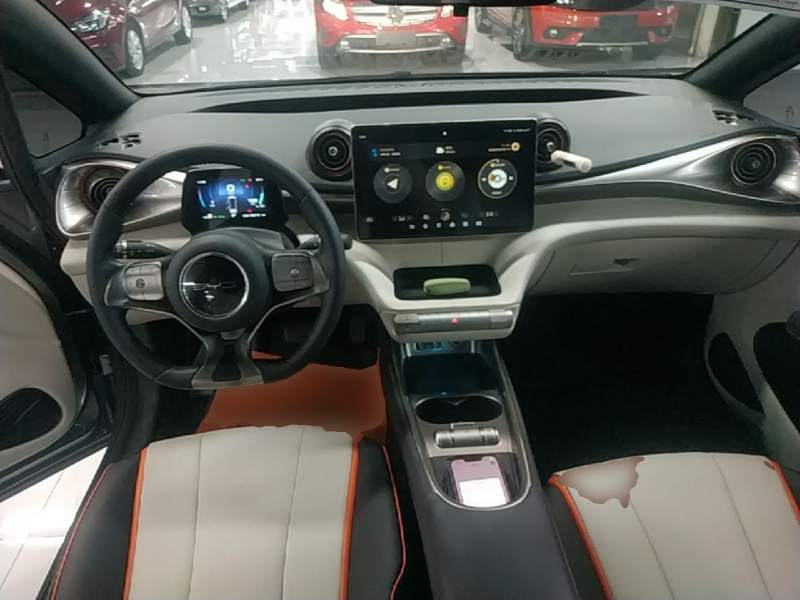 Used BYD Dolphin 2021 405 km Fashion Edition — 9