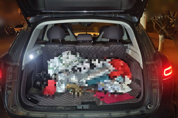 Used Leapmotor C11 2023 Pure Electric 500 Comfort Edition