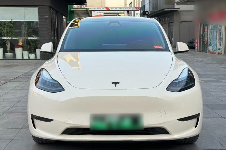 Used Tesla Model Y 2021 Standard Range Rear-Wheel Drive Version
