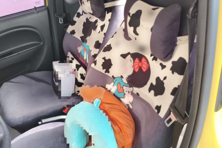 Used Know Beans D2 2017 D2 Enjoyment Edition Left Rear Seat