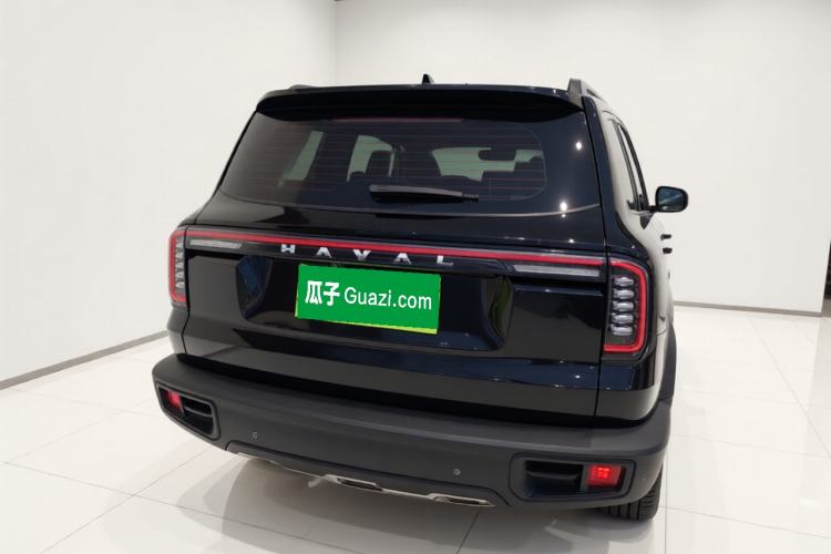 Used Haval DARGO 2024 2.0T DCT Chinese Rural Dog Edition Rear