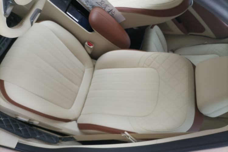 Used ORA Good Cat 2022 Morandi Edition 400km Standard Range Luxury Version Lithium Iron Phosphate Left Front Seat