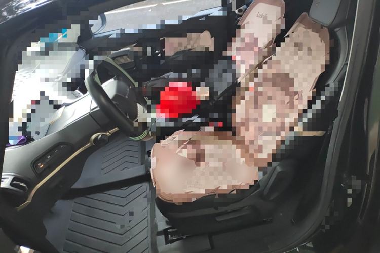 Used Baojun KiWi EV 2022 Artist Lite Edition Lithium Iron Phosphate