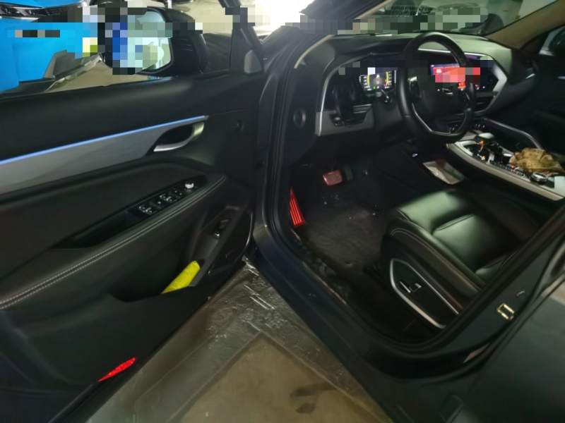 Used Geely Auto Monjaro 2020 High-Energy Edition 300T Yaoxingzhe — 12
