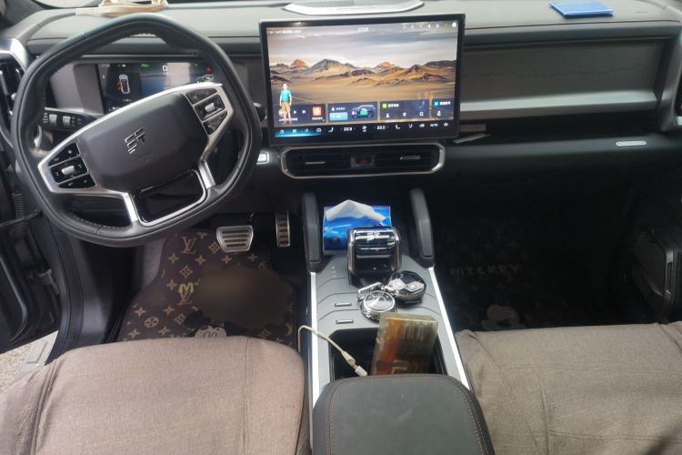 Used JETOUR Shanhai Traveler C-DM 2024 C-DM 208KM Mountain & Wilderness Edition