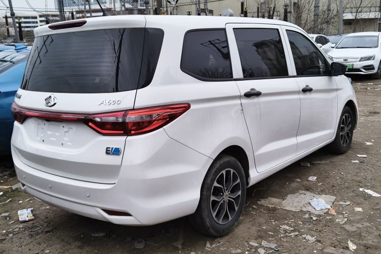 Used Oshan A600EV 2019 Revised Version 6 Seats