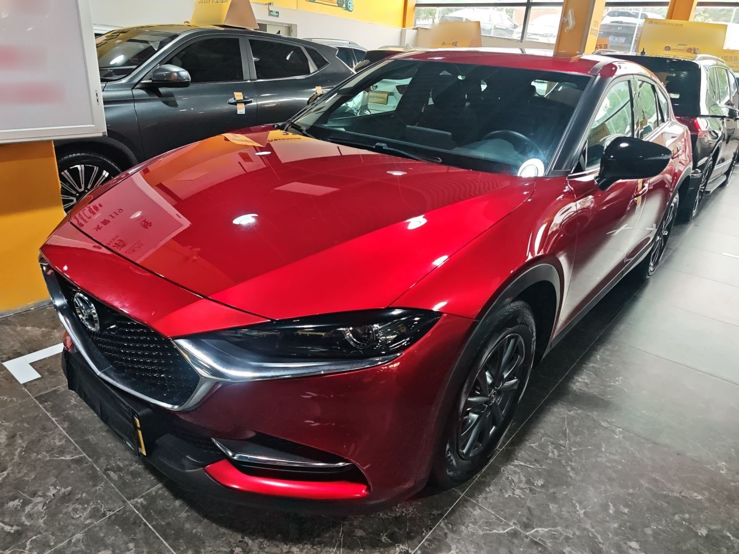 Parte inferior delantera