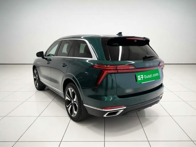 Used Wey Lanshan 2025 Four-Wheel Drive Max — 4