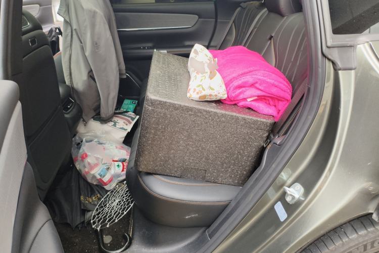 Used CHANGAN NEVO Q07 2025 215 Flagship PLUS Left Rear Seat