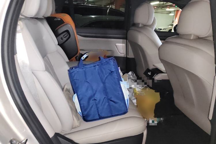 Used Nio ES8 2023 100kWh Signature Edition Left Rear Seat