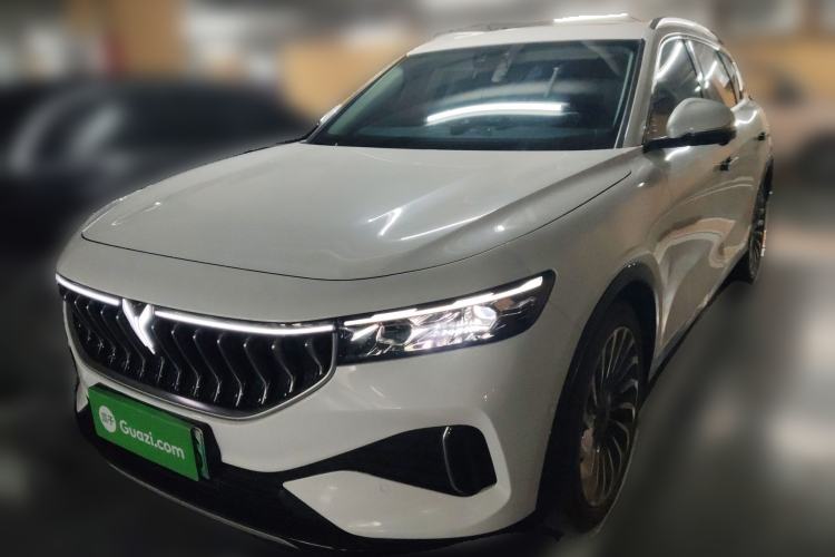 Used VOYAH FREE 2021 Two-Wheel Drive Standard Pure Electric Version