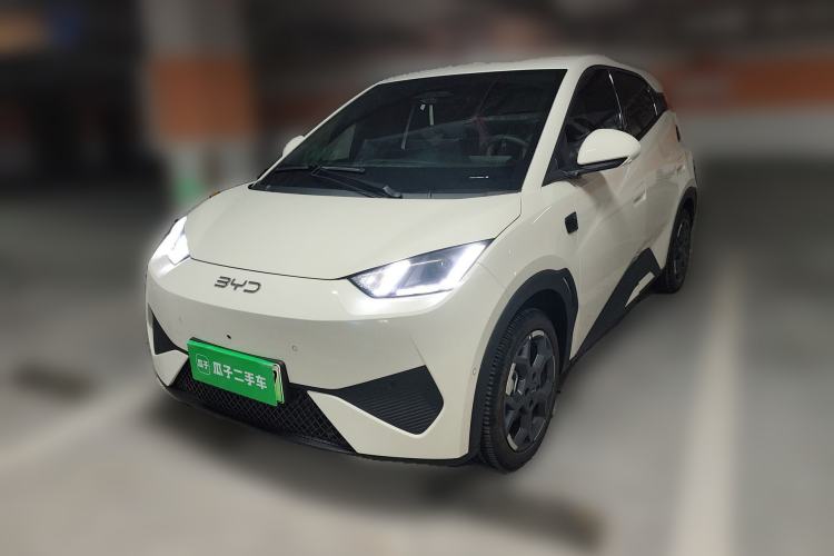 Used BYD Seagull 2025 Smart Drive Version 305 km Freedom Edition