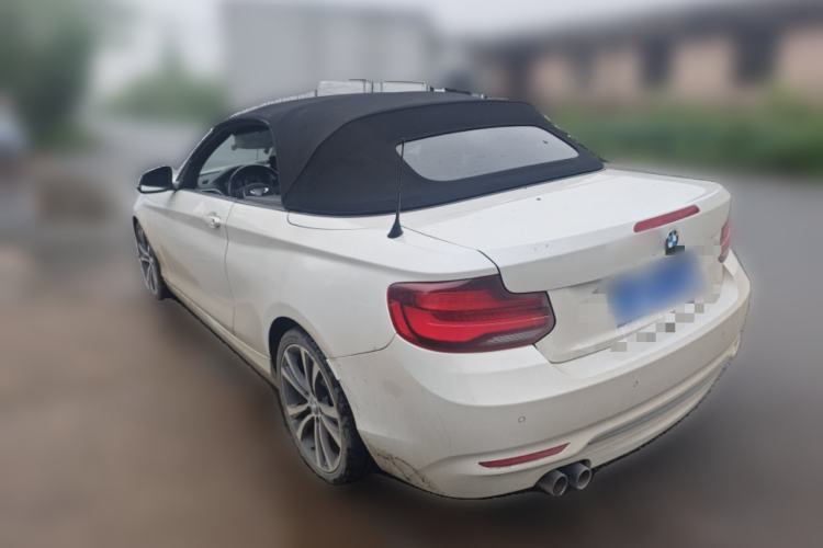 Used BMW 2 Series 2019 225i Convertible Coupe Sports Design Package