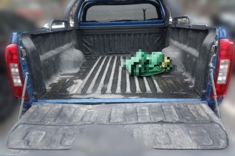 Used Great Wall Poer 2021 2.0T Commercial Version Manual Diesel Two-Wheel Drive Elite Long-Box GW4D20M
