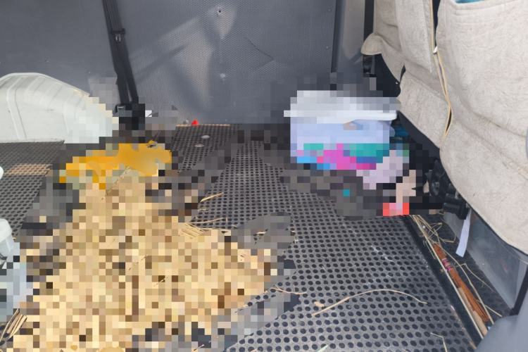 Used SAIC MAXUS Xintu V80 2018 2.5T AMT Elite Edition Short Wheelbase Mid-Roof Design 5-6 Seater Left Rear Seat