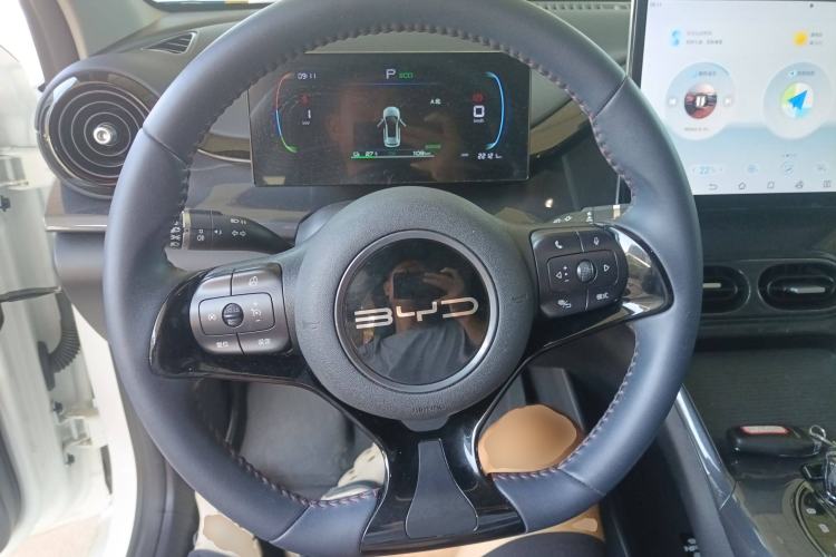 Used BYD e2 2023 Luxury Model