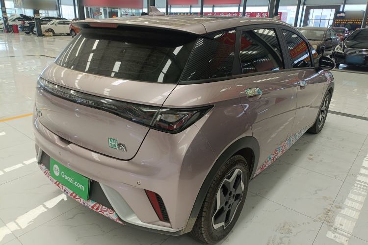 Used BYD Dolphin 2021 405 km Fashion Edition
