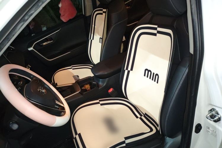 Used Toyota RAV4 2022 2.0L CVT Two-Wheel Drive Fashion Edition Left Front Seat