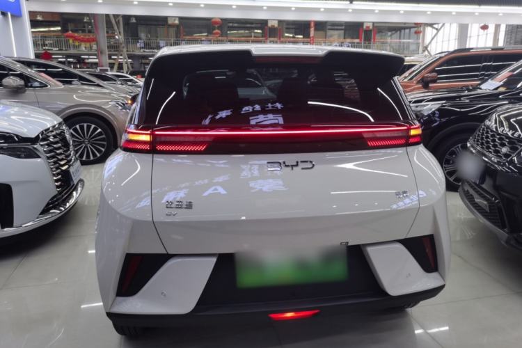 Used BYD Seagull 2025 Intelligent Driving Version 305 km Dynamic Edition Rear