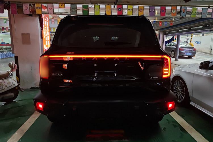 Used Haval DARGO 2024 2.0T DCT Chinese Rural Dog Edition
