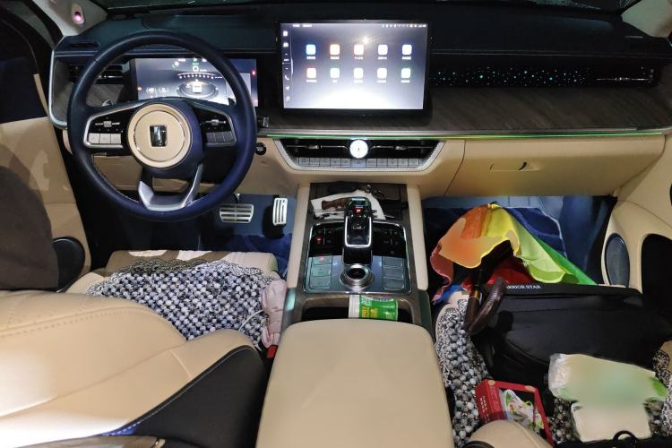 Used Tank 500 2022 3.0T Sport Edition "Creation" Version 5-Seater Interior 2