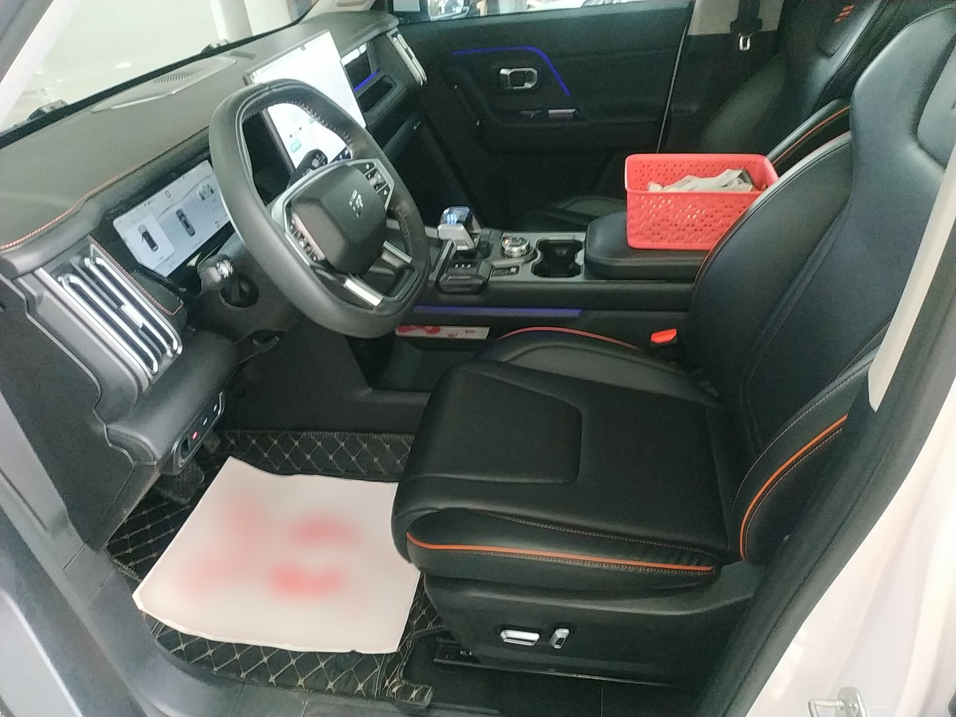 Interior delantero