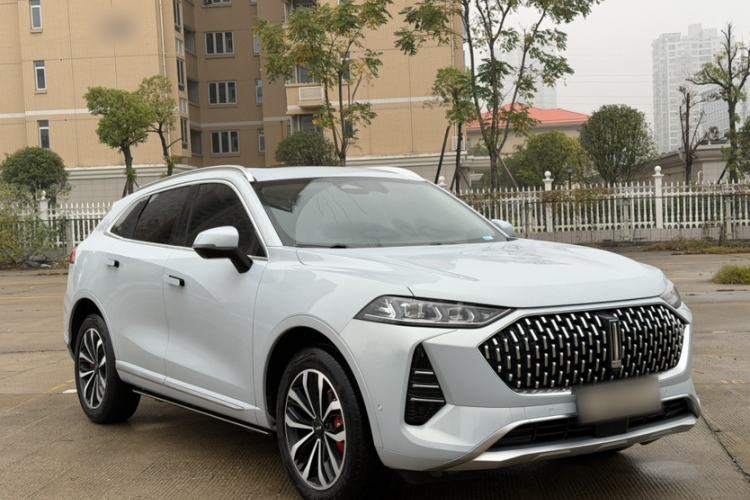 Used Wey Mocha 2021 2.0T Two-Wheel-Drive Premium Edition
