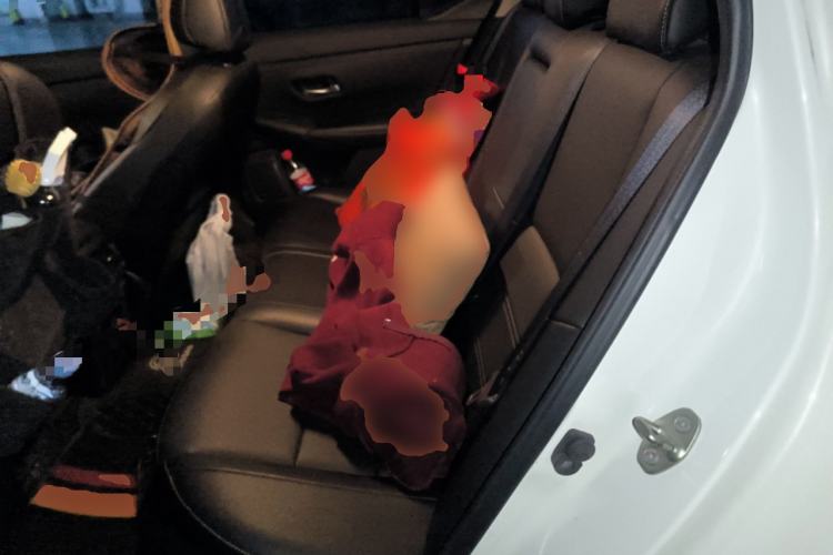 Used Nissan Sylphy 2022 Electric-Drive e-POWER Super Connect PLUS Left Rear Seat