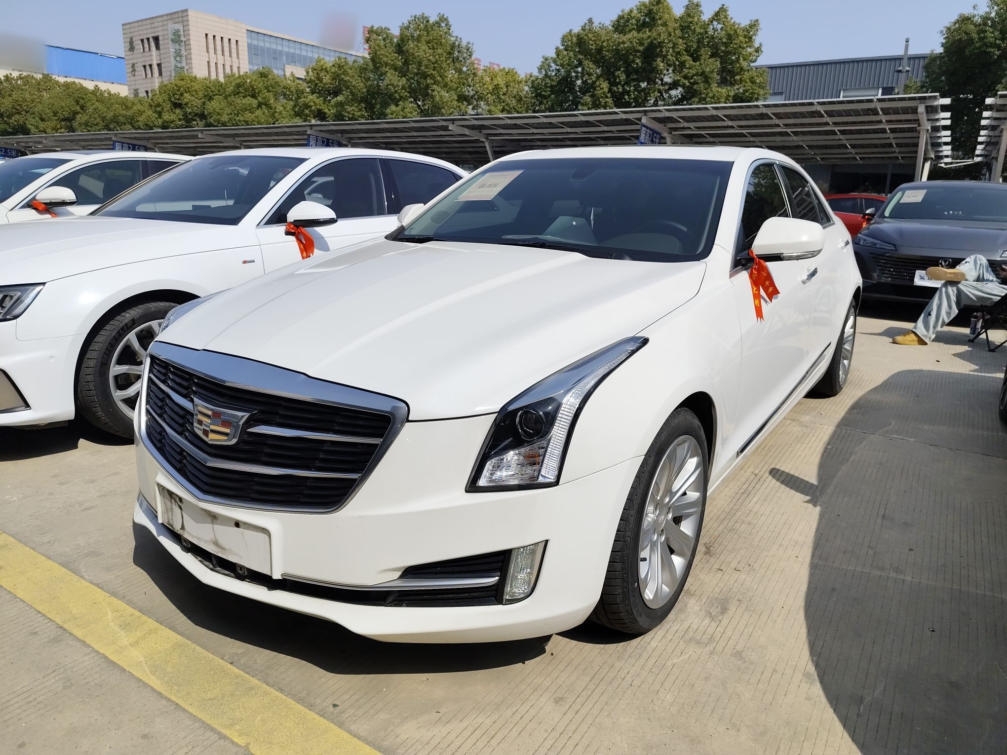 Parte inferior delantera