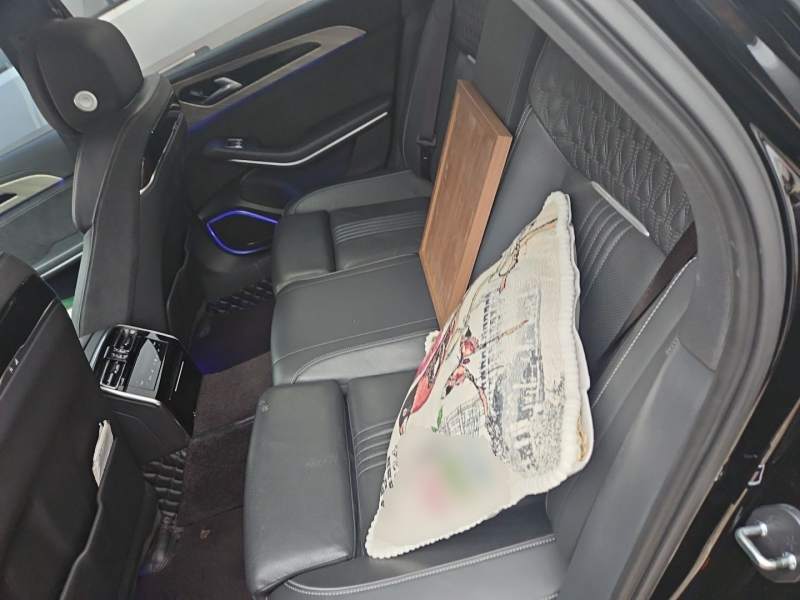 Used Hongqi H9 2020 3.0T Smart Connect Flagship Edition — 13