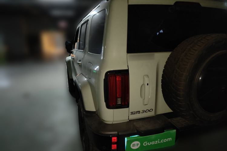 Used Tank 300 2024 2.0T Crosser
