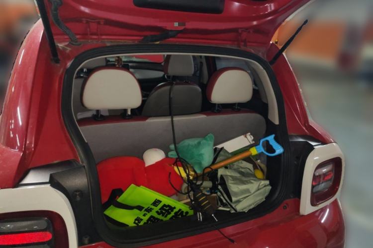 Used ORA Black Cat 2019 351 km Lingrui Version