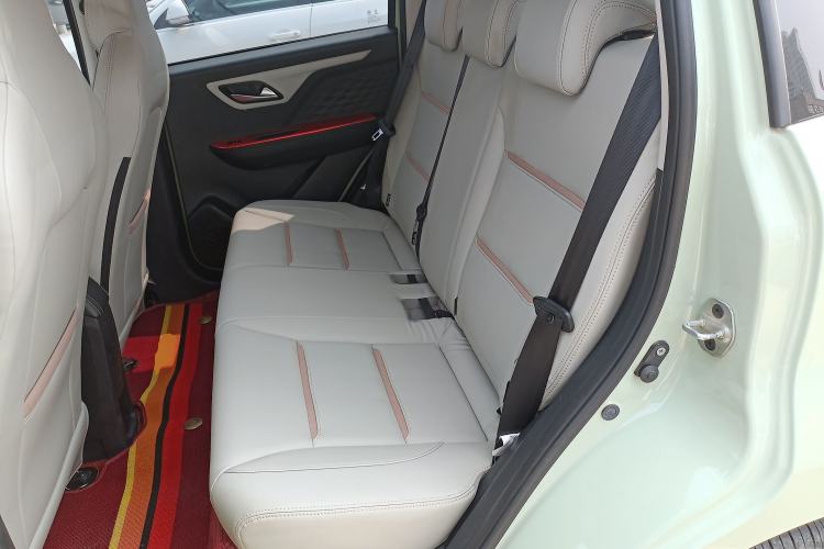 Used SOL E10X 2022 Flower Fairy Design Four-Leaf Clover