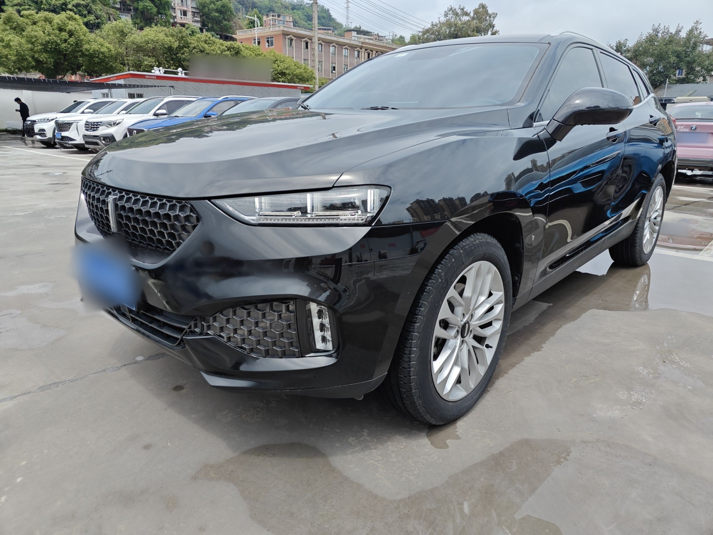 Parte inferior delantera