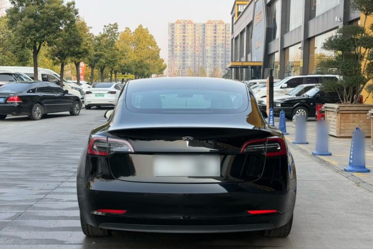 Used Tesla Model 3 (Import) 2019 Long-Range Rear-Wheel-Drive Version