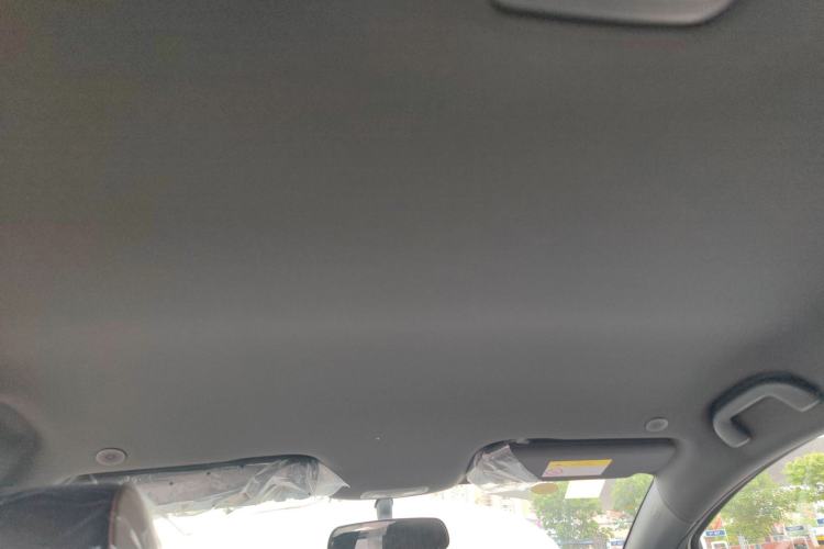 Used BYD Dolphin 2025 420km Fashion Edition Headliner