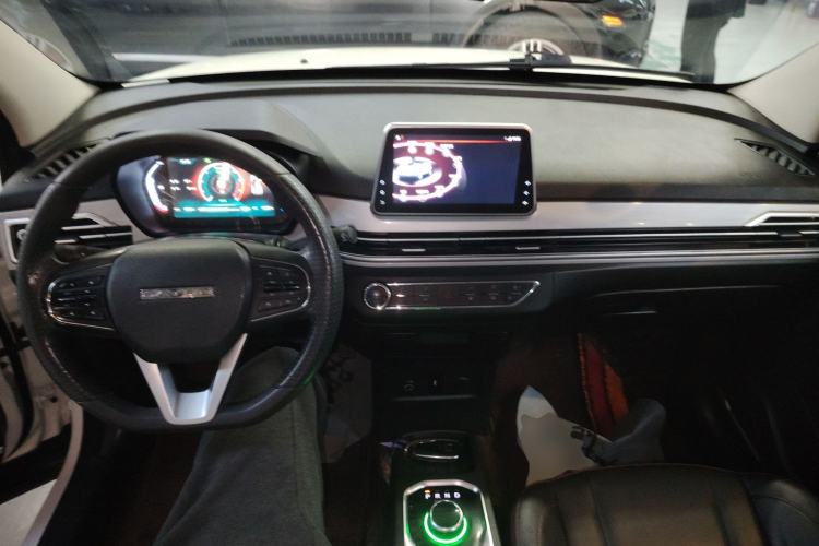 Used Dayun Yuehu 2021 32.85 kWh Two-Wheel-Drive Sprite Version Center Console