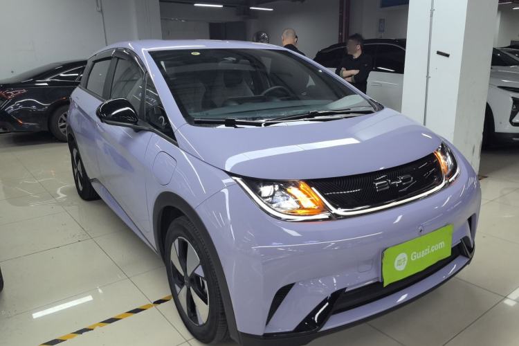 Used BYD Dolphin 2023 420 km Free Version