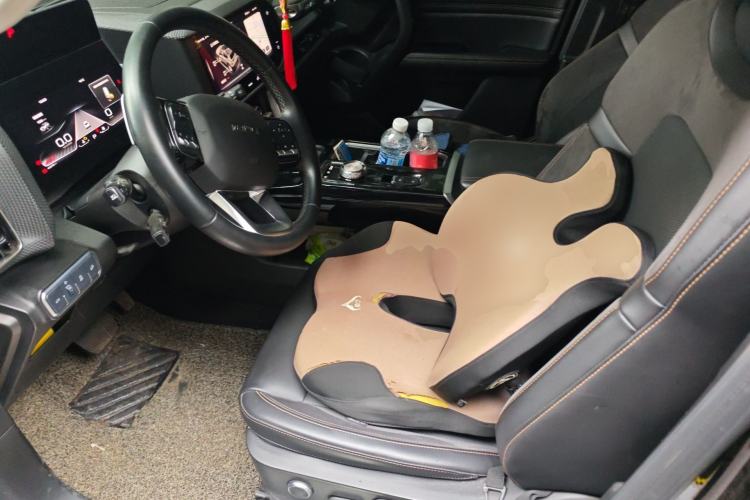 Used Haval DARGO 2021 2.0T DCT 4x4 Chinese Rural Dog Edition Left Front Seat