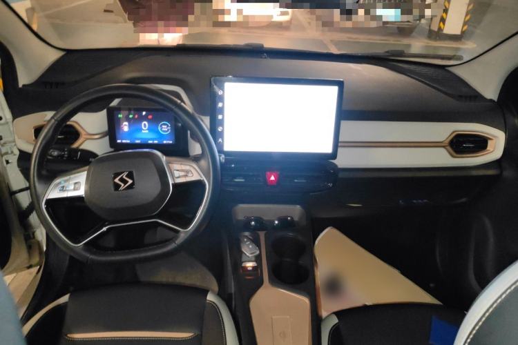 Used SOL E10X 2022 Flower Fairy Style Baby's Breath
