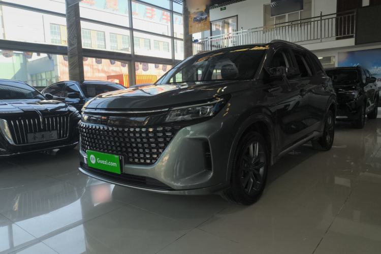 Used Landian E5 2024 Honor Edition 100KM Comfort Model 7 Seats